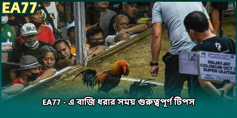  EA77 -এ বাজি ধরার সময় গুরুত্বপূর্ণ টিপস)