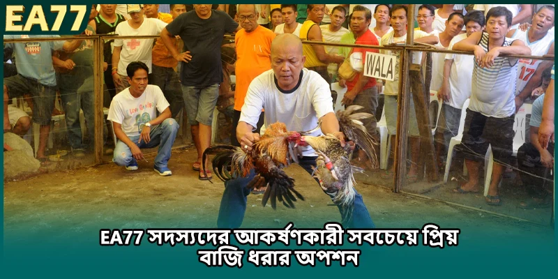  EA77 সদস্যদের আকর্ষণকারী সবচেয়ে প্রিয় বাজি ধরার অপশন)