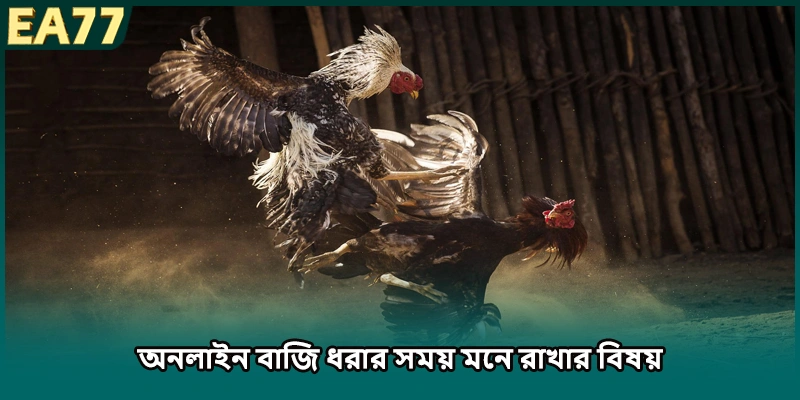 (ছবি: অনলাইন বাজি ধরার সময় মনে রাখার বিষয়)