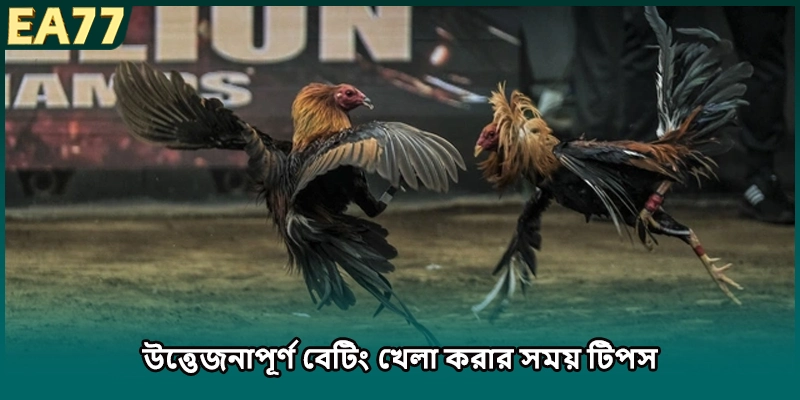 উত্তেজনাপূর্ণ অনলাইন অংশগ্রহণ করার সময় অভিজ্ঞতা মেনে চলুন