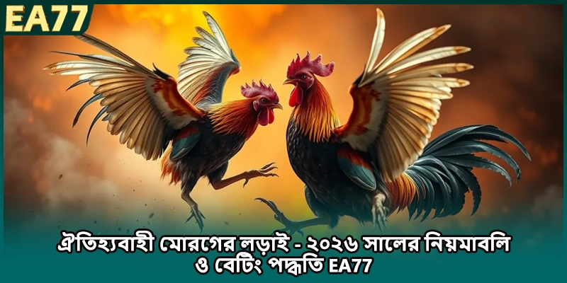 ঐতিহ্যবাহী মোরগের লড়াই - ২০২৬ সালের নিয়মাবলি ও বেটিং পদ্ধতি EA77