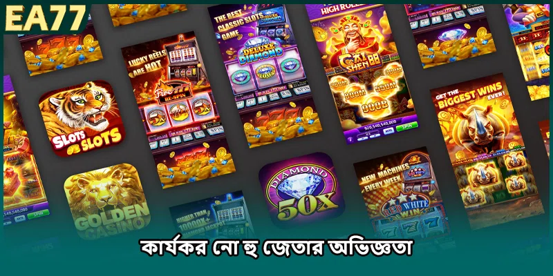 কার্যকর নো হু জেতার অভিজ্ঞতা
