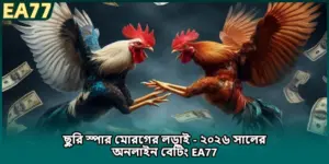 ছুরি স্পার মোরগের লড়াই - ২০২৬ সালের অনলাইন বেটিং EA77