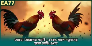 থোমো মোরগের লড়াই - ২০২৬ সালে নতুনদের জন্য বেটিং EA77