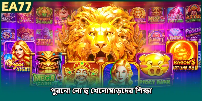 পুরনো নো হু খেলোয়াড়দের শিক্ষা