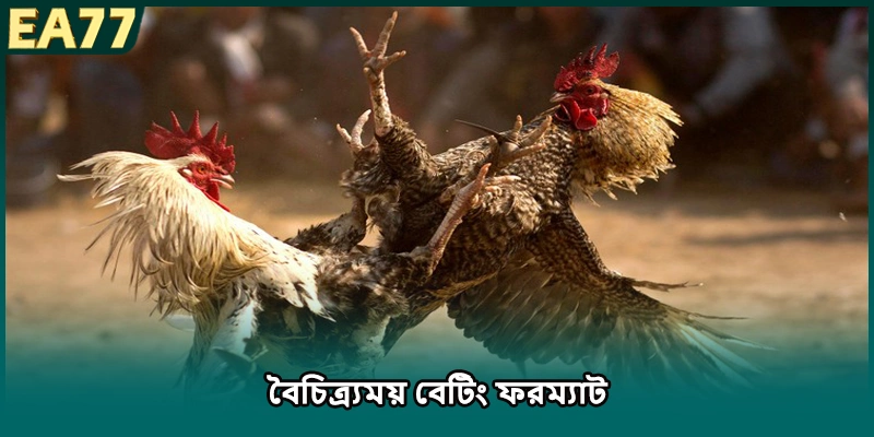 বৈচিত্র্যময় বেটিং ফরম্যাট