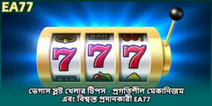 ভেগাস স্লট খেলার টিপস - প্রগতিশীল মেকানিজম এবং বিশ্বস্ত প্রদানকারী EA77