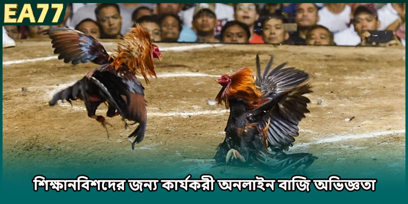 শিক্ষানবিশদের জন্য বুদ্ধিমান উত্তেজনাপূর্ণ বেট পরামর্শ