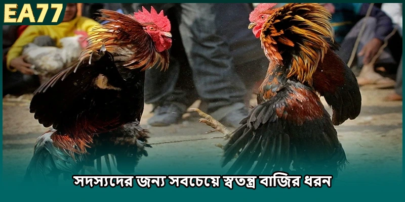 (ছবি: সদস্যদের জন্য সবচেয়ে স্বতন্ত্র বাজির ধরন)