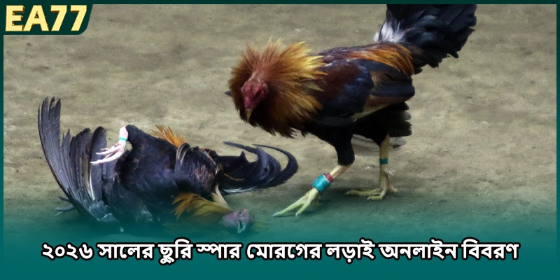 ২০২৬ সালের ছুরি স্পার মোরগের লড়াই ডিজিটাল পরিচয়